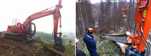 照片：日立建机联合app在海南试验林业机获得成功